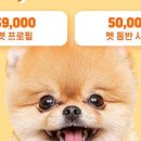 봉구네사진관 네이버블로그
