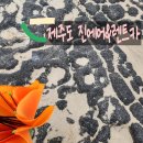 ㈜제주오케이렌트카 | 제주도 여행 4인가족 진에어 렌트카 코나 제주OK렌트카 가격 후기