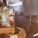 오복농장 이미지