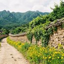 초록담쟁이공방 | 동학사 말고 여기 계룡산 '상신리 돌담마을' — 6월에 가야 하는 진짜 이유 [도예촌+청국장+계곡 완전...