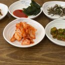 고창 참바지락칼국수