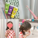 다복솔디자인 | [리얼후기] 어린이 치약 추천 클라이네 3종(포도/바나나/라즈베리)