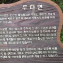 양구 나비야 이미지
