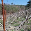 사랑방농원 이미지