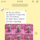 호다닥쑥 이미지