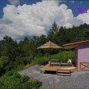 평창힐링스테이 | 강원도 평창 대관령 숙소 리조트 캠핑 추천 평창힐링스테이 평창힐링스테이, 자연 속에서의 힐링