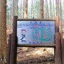 홍길동우드랜드 Daum카페