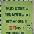 사람과애견 | 여수 애견카페 캐나다 멍빌리지 후기