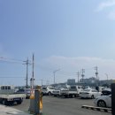 구룡포용약국 | 경북 포항 구룡포 대가족여행 구룡포 시장 구룡포 용약국 구룡포 식자재마트 정보