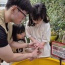 여주곤충박물관 이미지