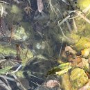 동구리호수공원주차장 이미지