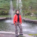 광양사슴농장 이미지