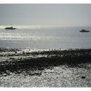 삽시도둘레길 이미지