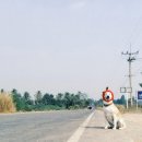 즐거운 강아지 이미지