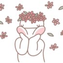 더파티아이 목화점 이미지