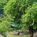 스토리 | 완주동상계곡 50M 대형 워터슬라이드 미끄럼틀계곡 수영장펜션 평상대여•취사가능 스토리펜션