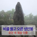울릉도성인봉아래투어 | 울릉도 성인봉 KBS중계소 코스 후기｜운무 가득한 비산행