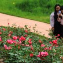 함평엑스포공원 이미지