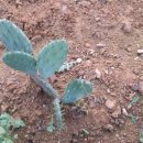 성호농장 이미지