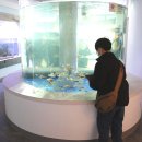 신평동1011 이미지