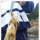 바다위통나무펜션씨그리메 이미지