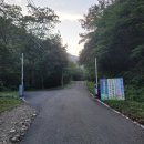 국립삼봉자연휴양림 숲속의 집 뻐꾸기 숙소 내돈내산 후기(23년 10월 31일까지 숯불 가능)