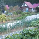 가족농원 이미지