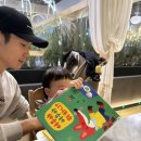 여우야 | 📚 13개월 아기 그림책 추천 | 사파리북스 <여우야 여우야 뭐하니?> 후기