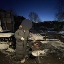 숲앤숲펜션 | [강원도/대관령] 숲앤숲 펜션, 라벤더 후기 별 잘 보이고 양떼목장, 스키장 근처 독채 숙소 추천...