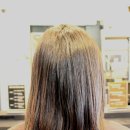 보그 메디 이미지