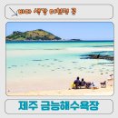 제주 금능해수욕장 후기｜협재와 함께 걷기 좋은 제주 서쪽 에메랄드 바다 명소