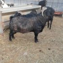 제이농장 이미지