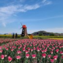 법수농원 이미지