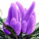 경산진량우체국 이미지