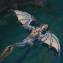 드래곤 PC방 이미지