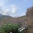 이목쉼터화장실 | 단풍명소 용인 화담숲 시간 가는방법 주차 명당자리 방문후기 식당