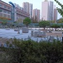 도안초등학교 브레이크뉴스