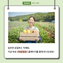 풍기인삼직매장