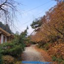 개나리펜션 이미지