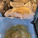 pet288거5655 | [절망편] 두쫀구리가 되려했던 나..feat. 짭쫀쿠