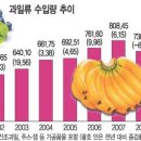 블루베리 수입과 재배가 급증하고 있군요,, 이미지