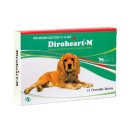 정동물약국 이미지