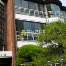 야탑로231번길 이미지