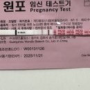15,16,17 | 둘째 임신 : 배란 13일차 14일차 15일차 16일차 임테기 진하기 두줄 17일차 원포 역전 후기