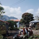 멀구슬민박 이미지