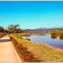 금호강강변공원 이미지