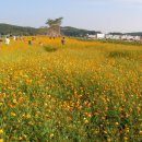 어사교차로 이미지