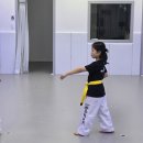 용인대 정무태권도장 이미지