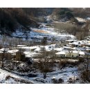산골풍경 Daum카페