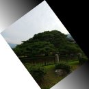 [경북 청도] 운문사 (淸道雲門寺) -1